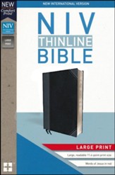 NIV Thinline Bible Large Print Black and Gray, Imitation Leather - Imperfectly Imprinted Bibles