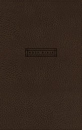 NRSV Simple Faith Bible, Comfort Print--soft leather-look, brown
