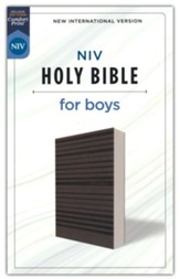 NIV Holy Bible for Boys--soft leather-look, gray