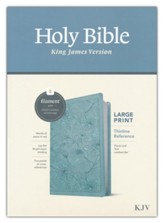 KJV Large-Print Thinline Reference Bible, Filament Enabled Edition--soft leather-look, teal