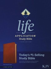 KJV Life Application Study Bible, Third Edition, Brown Genuine Leather