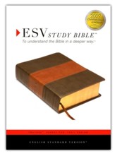 ESV Study Bible, TruTone, Forest/Tan Trail Design - Slightly Imperfect
