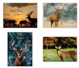Wildlife Birthday Cards, Box of 12