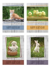 Small Creatures Birthday Cards, Box of 12