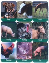 Farm Animals (real photos)