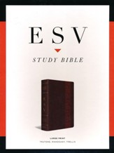 ESV Study Bible, Large Print, TruTone, Mahogany with Trellis Design