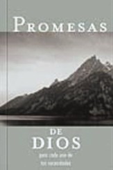 Promesas De Dios Para Cada Una De Tus Necesidades, God's Promises For Your Every Day Need - eBook