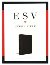 ESV Study Bible, Genuine Buffalo Leather, brown - Imperfectly Imprinted Bibles