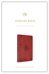 ESV Thinline Bible--soft leather-look, terracotta