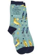 Song Birds Socks