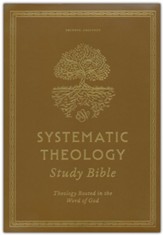 ESV Systematic Theology Study  Bible--imitation leather, chestnut