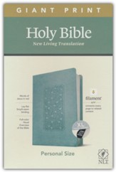 NLT Giant-Print Personal-Size Bible, Filament Enabled Edition--soft leather-look, floral frame teal (indexed)
