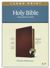 KJV Large-Print Thinline Reference Bible, Filament Enabled Edition--genuine leather, brown (indexed) - Slightly Imperfect