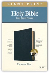 KJV Giant-Print Personal-Size Bible, Filament Enabled Edition--genuine leather, black (indexed)
