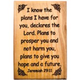 I Know the Plans Jeremiah 29:11 Bible Verse Fridge Magnet from Bethlehem