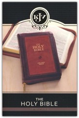 KJV Compact Bible--soft leather-look, burgundy/brown with zipper