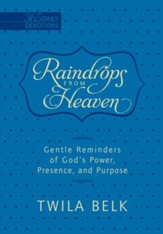 Raindrops from Heaven: Gentle Reminders of God's Power, Presence and Purpose - eBook