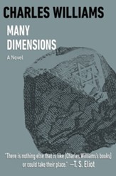 Many Dimensions: A Novel - eBook