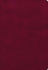 NASB 2020 Super Giant-Print Reference Bible--soft leather-look, burgundy (indexed)