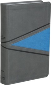NIV Boys Bible--soft leather-look, gray/blue - Imperfectly Imprinted Bibles
