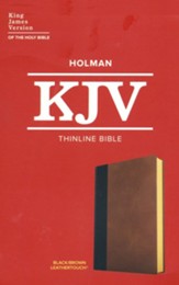 KJV Thinline Bible--LeatherTouch, black/brown