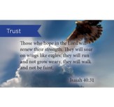 Scripture Cards, Trust, Isaiah 40:31, Pack 25