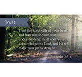 Scripture Cards, Trust In The Lord, Prov 3:5-6, Pack 25