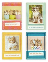 Birthday, Curious Kittens, Boxed cards (KJV)