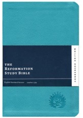 ESV Reformation Study Bible, Condensed Edition - Turquoise, leather-like - Imperfectly Imprinted Bibles