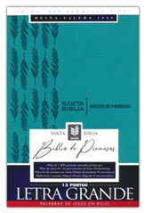 RVR60 Biblia de promesas - Letra Grande- Edición turquesa imitación piel con índice