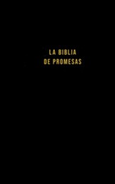 Santa Biblia de Promesas NVI, Tapa dura, Negra (Promise Bible, Black)