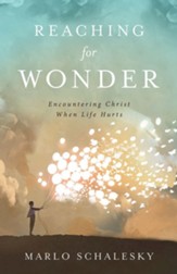 Reaching for Wonder: Encountering Christ When Life Hurts - eBook