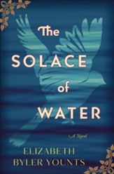 The Solace of Water: A Novel - eBook