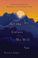 All the Colors We Will See: Reflections on Barriers, Brokenness, and Finding Our Way - eBook