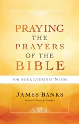 Praying the Prayers of the Bible for Your Everyday Needs - eBook
