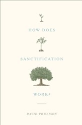 How Does Sanctification Work? - eBook