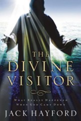 Divine Visitor: What Really Happened When God Came Down - eBook