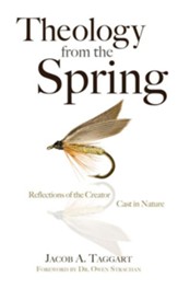 Theology From the Spring: Reflections of the Creator Cast in Nature - eBook