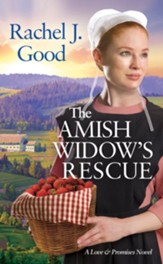 The Amish Widow's Rescue - eBook