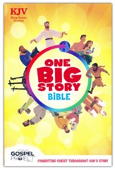KJV One Big Story Bible, hardcover - Slightly Imperfect