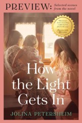 How the Light Gets In PREVIEW: SELECTED SCENES FROM THE NOVEL - eBook