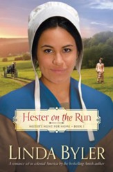 Hester on the Run: Hester's Hunt for Home, Book One - eBook