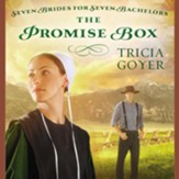The Promise Box Audiobook [Download]