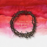 What a Beautiful Savior [Music Download]