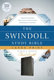 Large Print Bibles