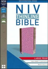 Closeout Bibles