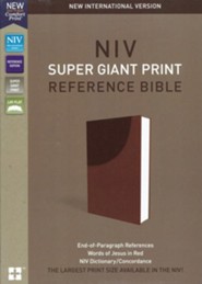 Large Print Bibles