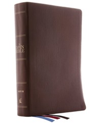 NIV Open Bible