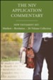 The NIV Application Commentary: New Testament Set, 20 Volumes; Updated packaging of 4989-NIVAC