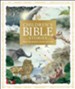 Children's Bible Stories